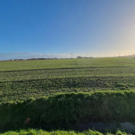 Akate * Kronprinzenkoog